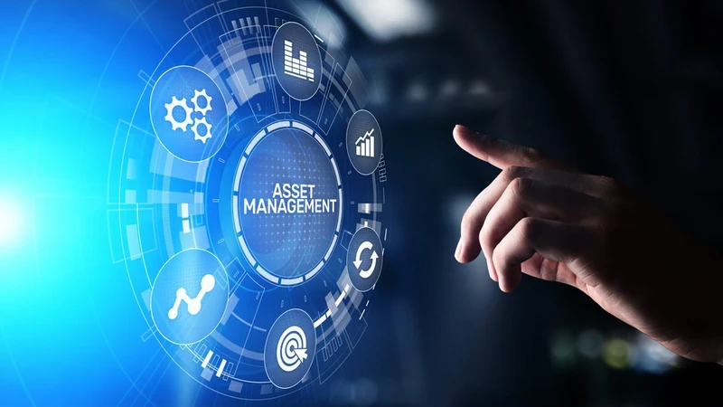 planning-for-volatility-risk-management-strategies-for-2025